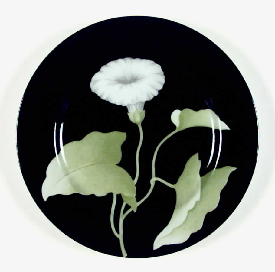 Fleurs De Minuit Salad Plate by Fitz & Floyd-1