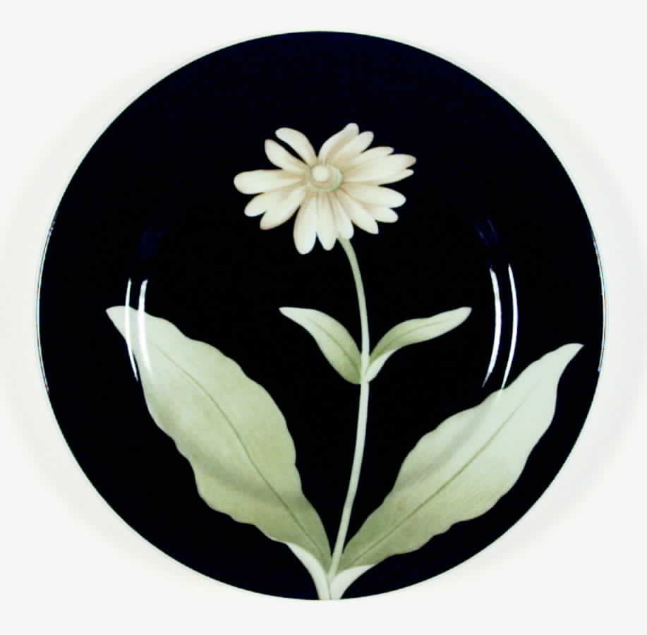 Fleurs De Minuit Salad Plate by Fitz & Floyd-1
