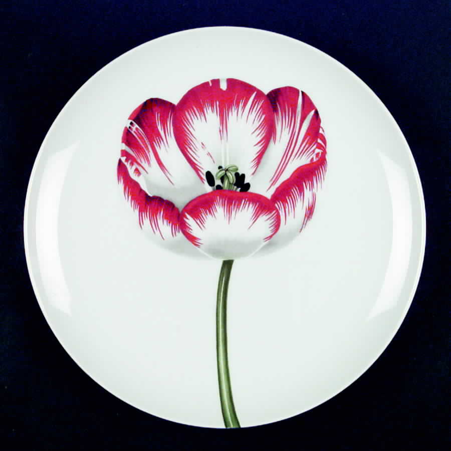 Les Tulipes Luncheon Plate by Fitz & Floyd-1