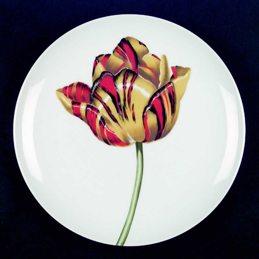 Les Tulipes Luncheon Plate by Fitz & Floyd-1