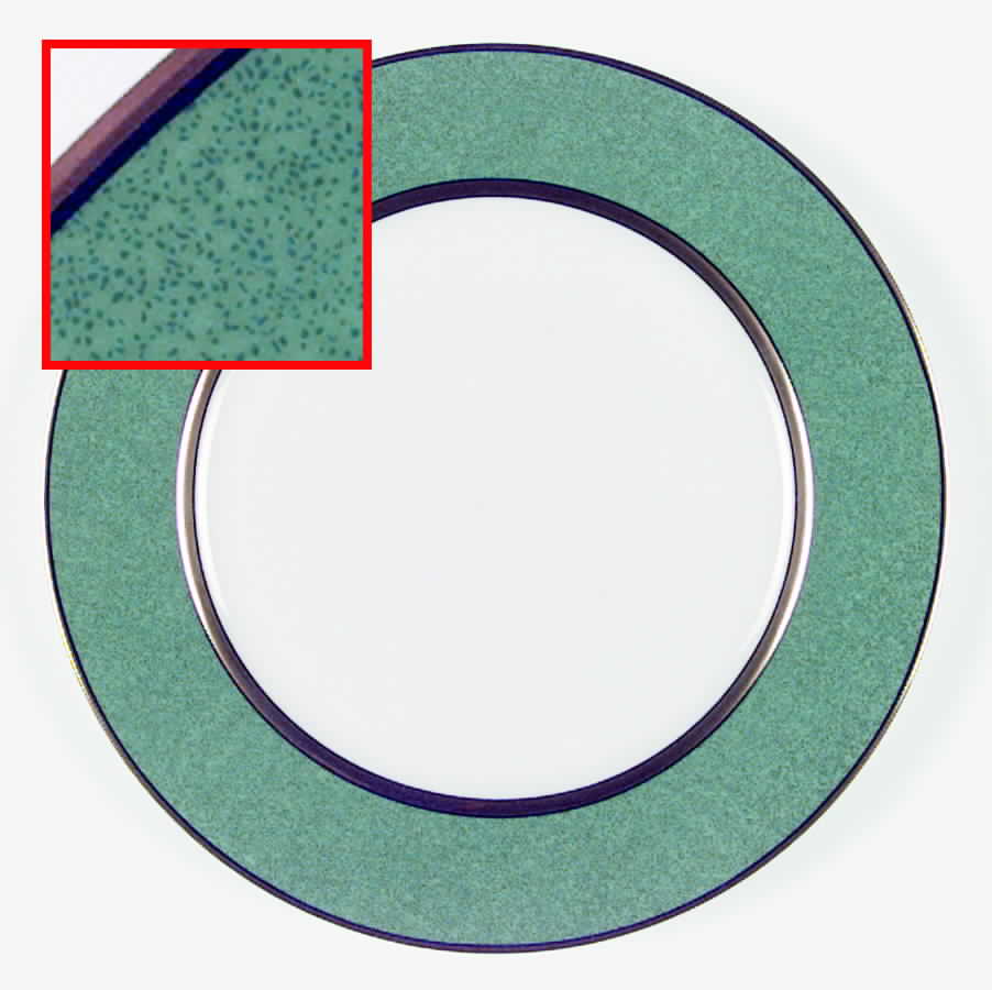 Mouchetee Teal Green Dinner Plate by Fitz & Floyd-1