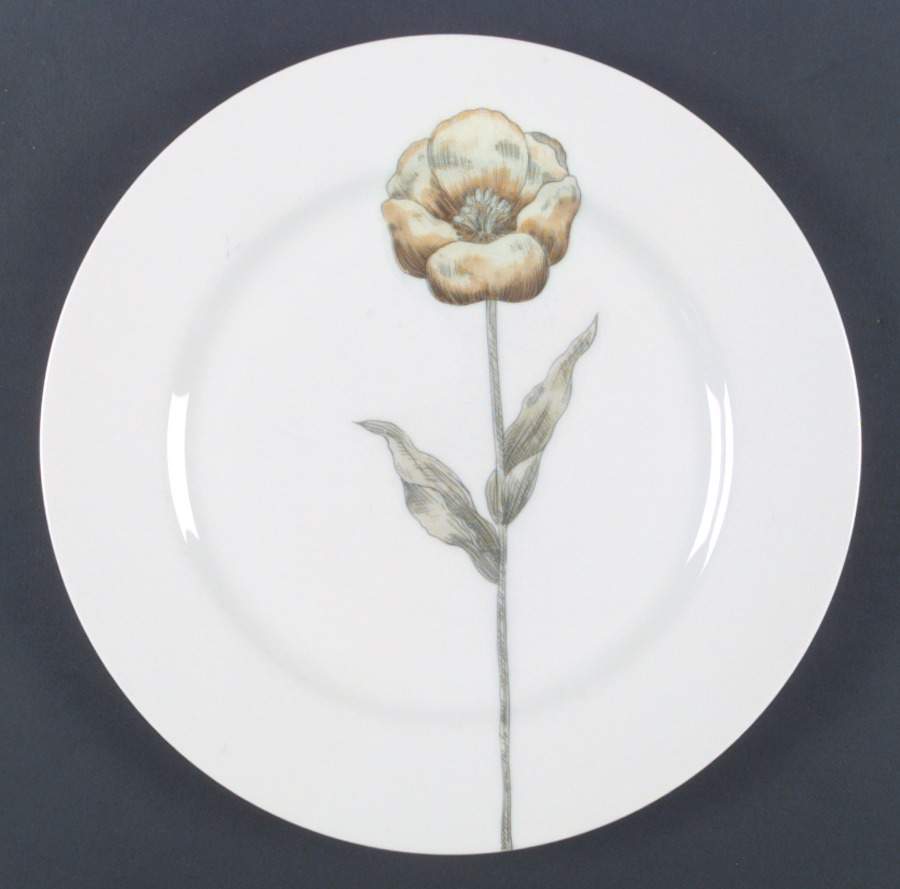 Pastel Poppy (White Background) Dinner Plate by Fitz & Floyd-1