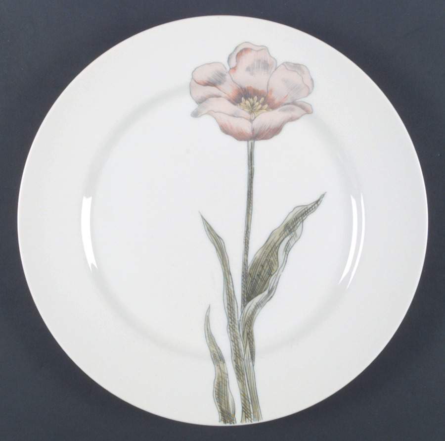 Pastel Poppy (White Background) Dinner Plate by Fitz & Floyd-1