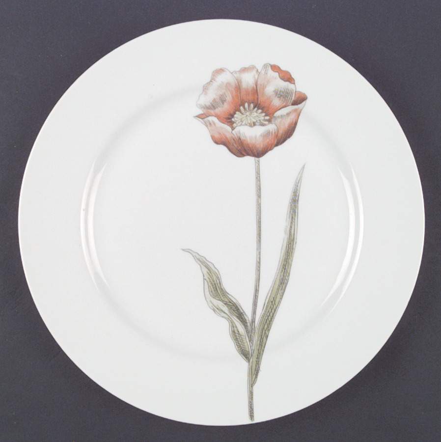 Pastel Poppy (White Background) Dinner Plate by Fitz and Floyd-1
