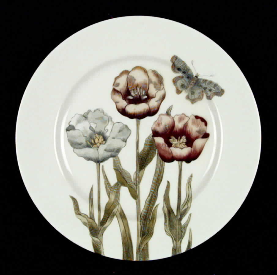 Pastel Poppy (Cream Background) Salad Plate by Fitz & Floyd-1