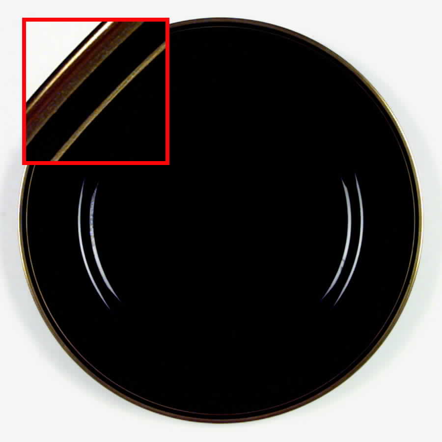 Pavillon Black Dinner Plate by Fitz & Floyd-1