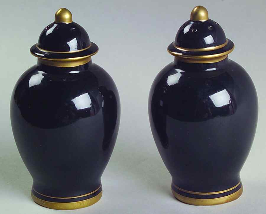 Pavillon Black Salt & Pepper Set by Fitz & Floyd-1