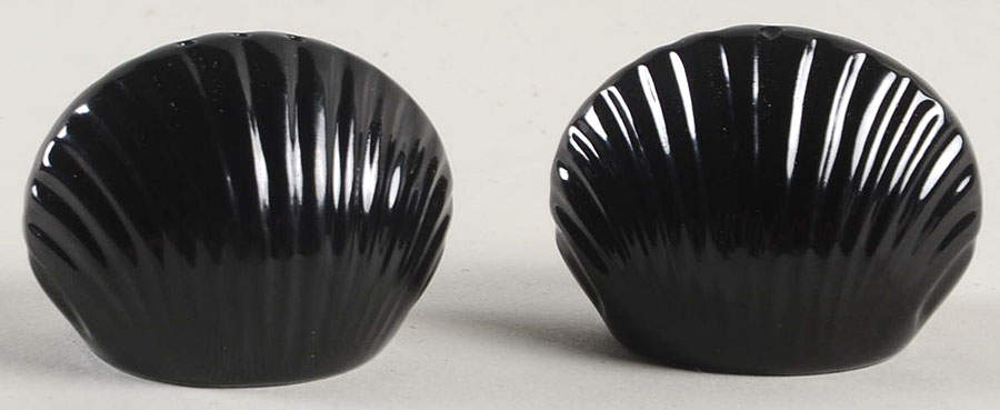 Total Color Spectrum Black (Round) Individual Salt & Pepper Set by Fitz and Floyd-1