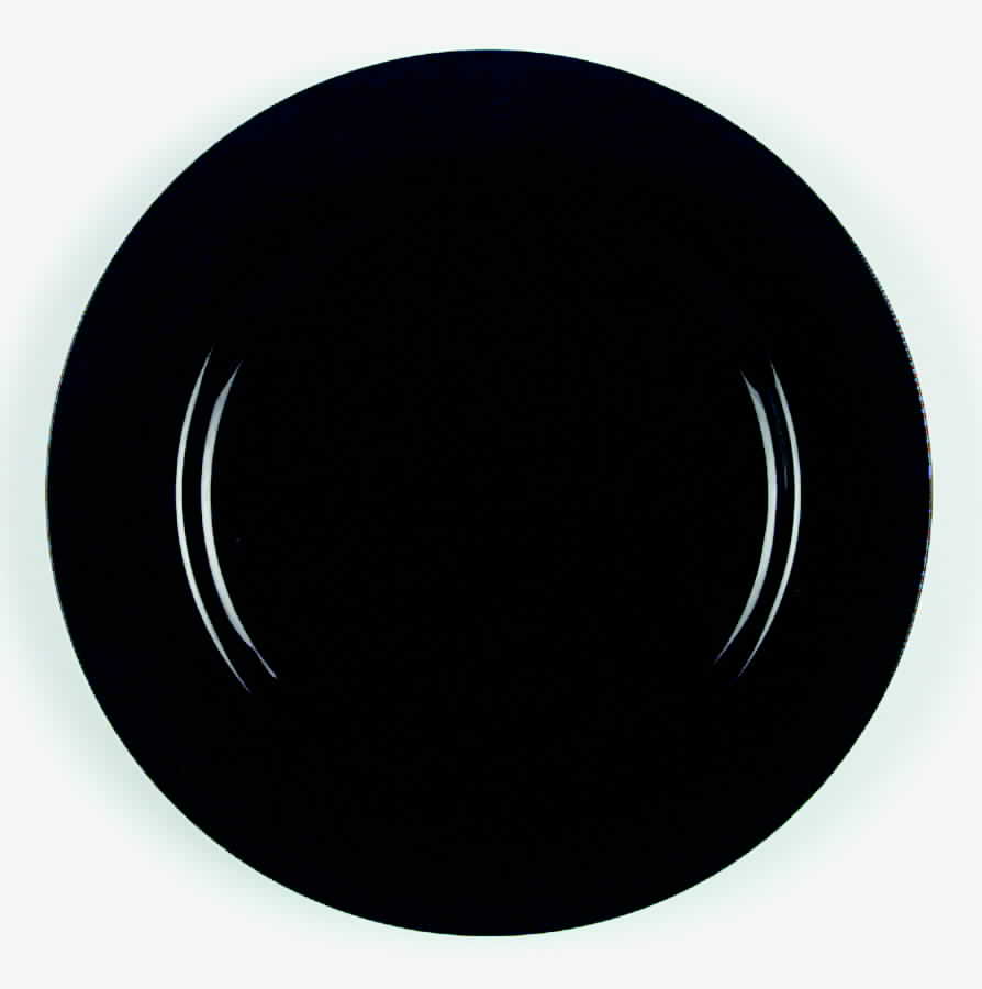 Total Color Spectrum Black (Round) Dinner Plate by Fitz and Floyd-1