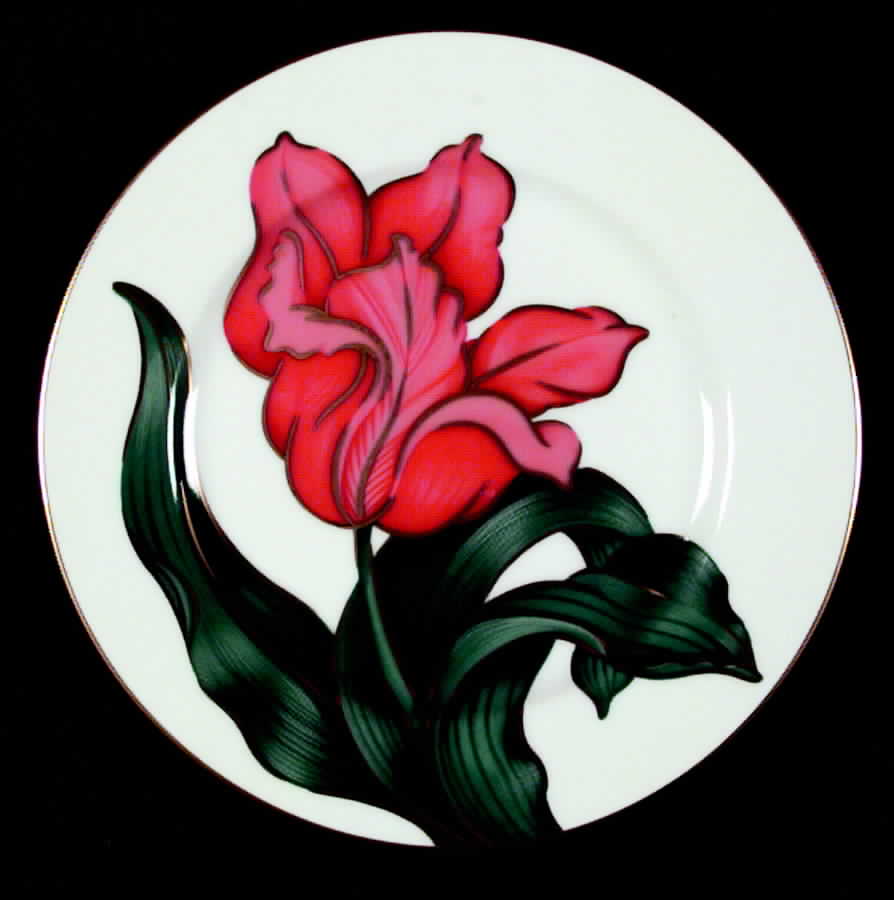 Tulipe Rouge Salad Plate by Fitz & Floyd-1
