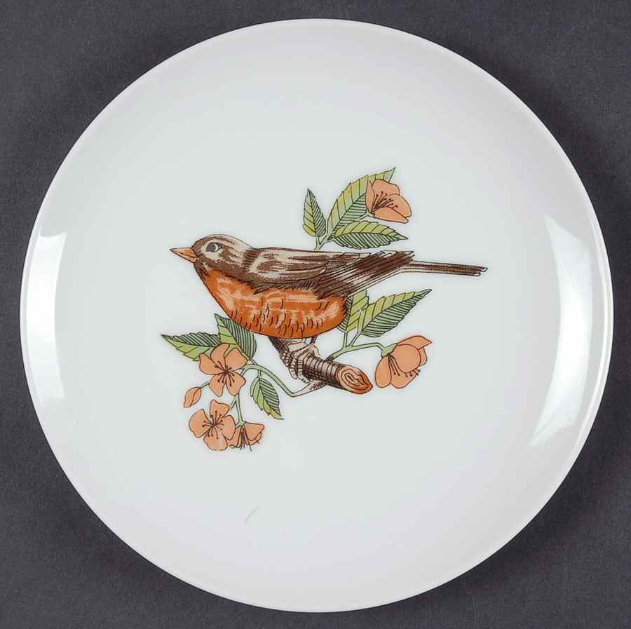 Variations Collector's Bird Salad Plate by Fitz & Floyd-1