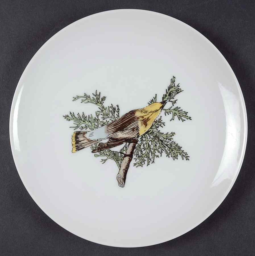 Variations Collector's Bird Salad Plate by Fitz & Floyd-1