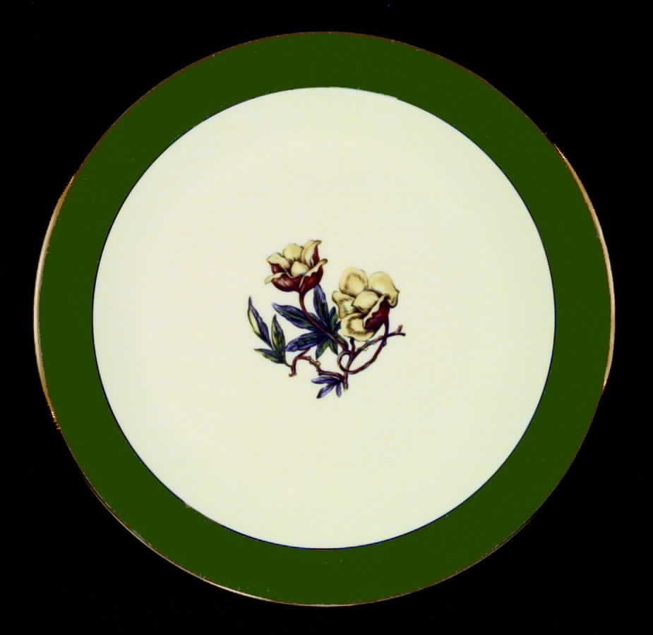 Avalon Sage Green (Gold Trim) Coupe Dinner Plate by Flintridge-1