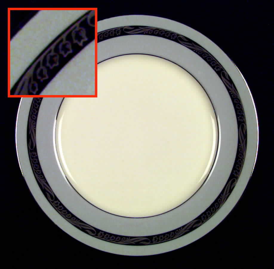 Bridal Wreath Gray Dinner Plate by Flintridge-1