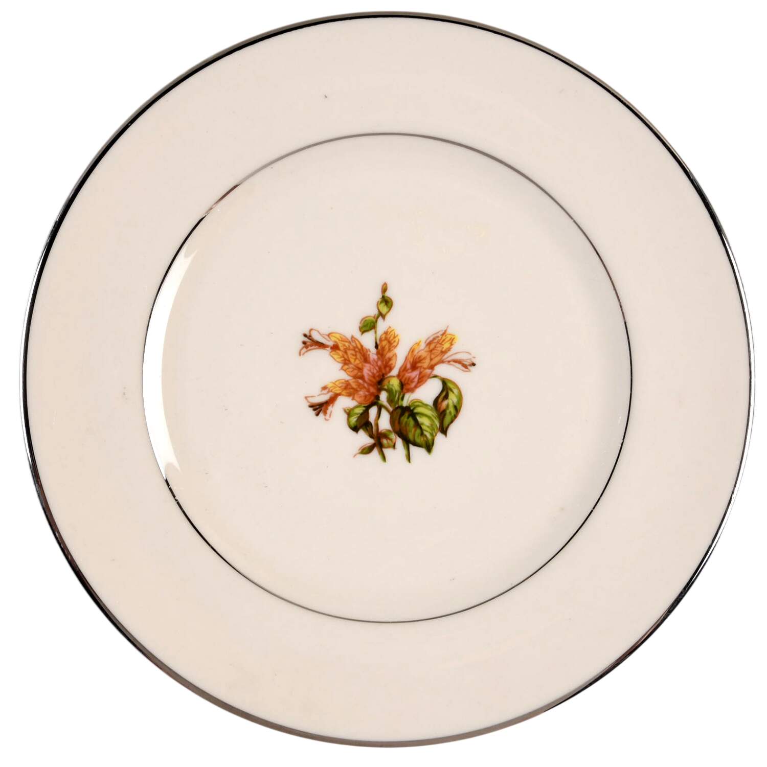 Cambria No Color Band (Platinum Trim) Bread & Butter Plate by Flintridge-1