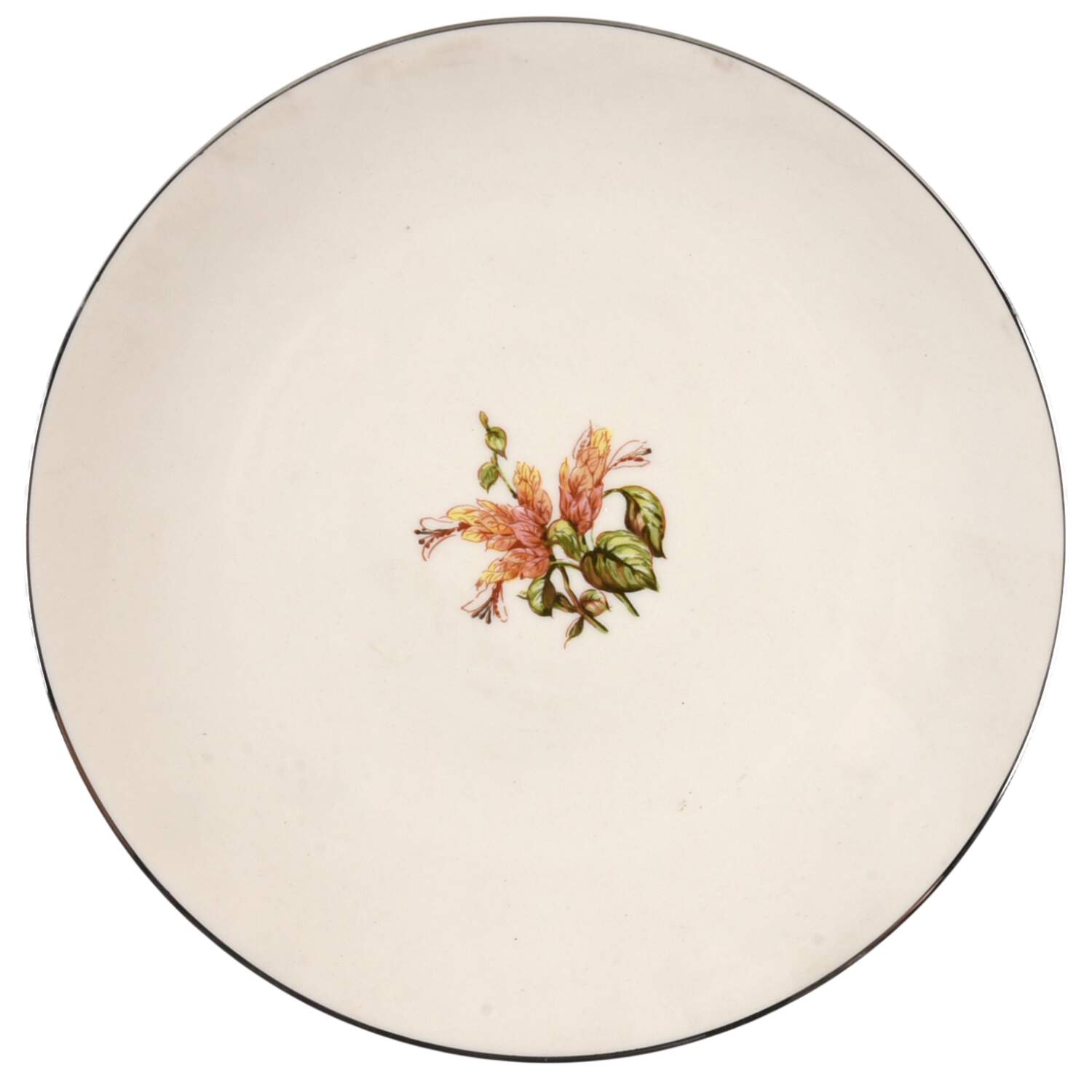 Cambria No Color Band (Platinum Trim) Coupe Salad Plate by Flintridge-1