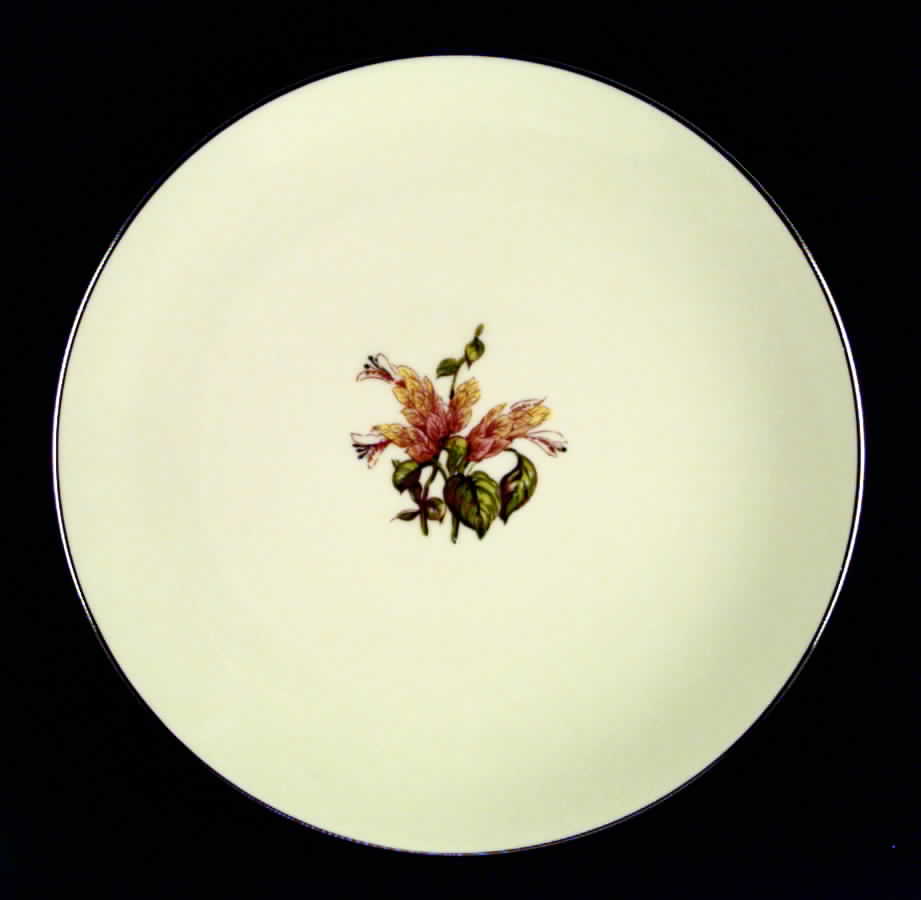 Cambria No Color Band (Platinum Trim) Coupe Dinner Plate by Flintridge-1