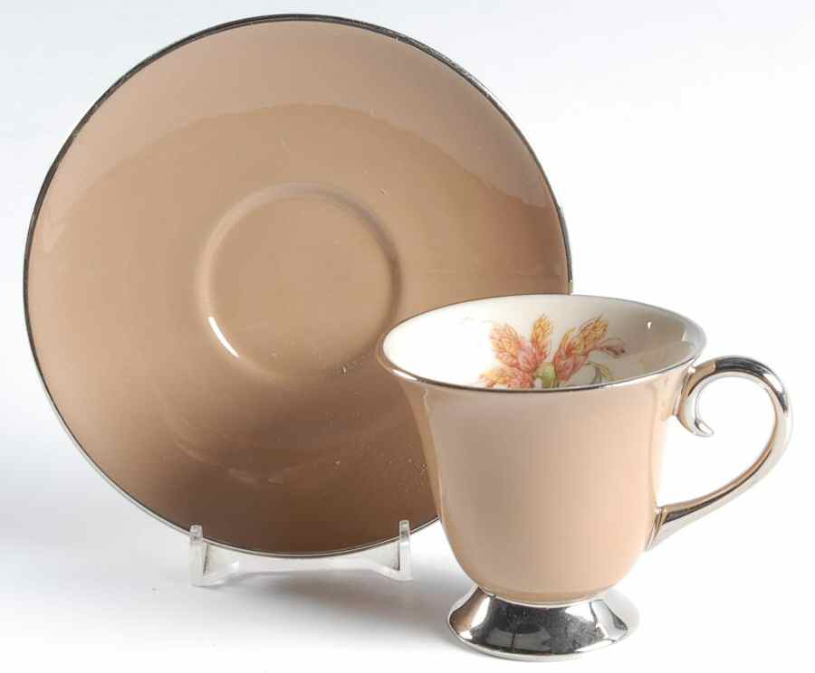 Cambria Cocoa (Platinum Trim) Footed Demitasse Cup & Saucer Set by Flintridge-1