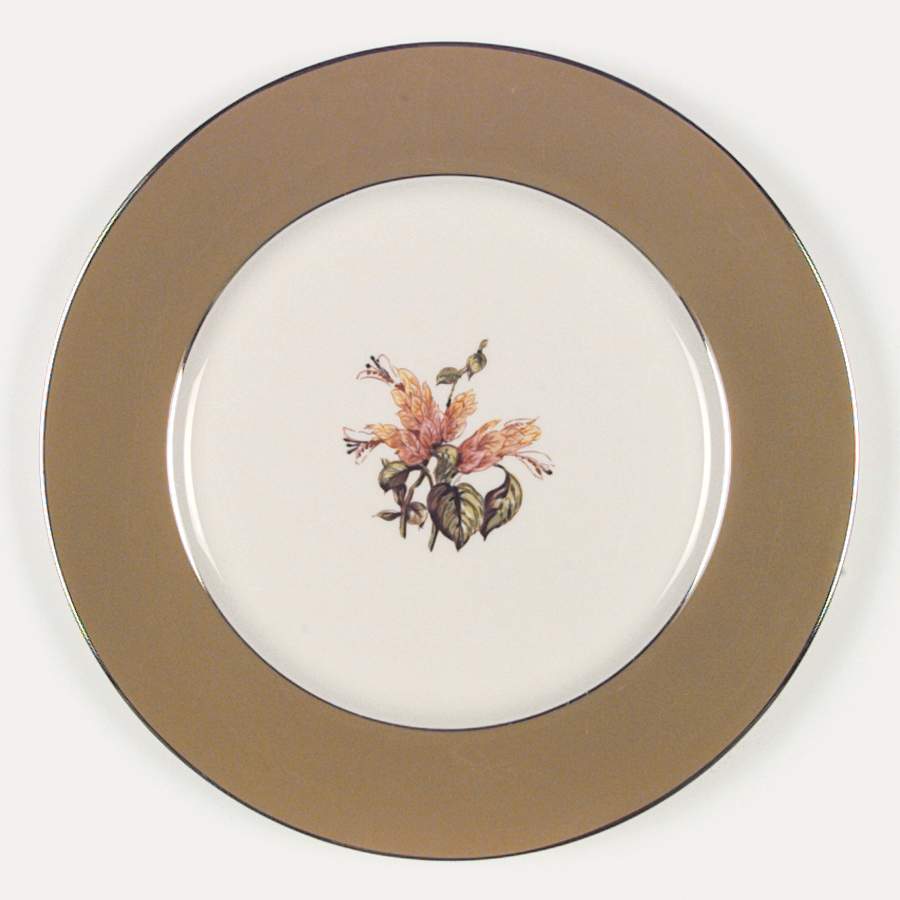 Cambria Cocoa (Platinum Trim) Dinner Plate by Flintridge-1