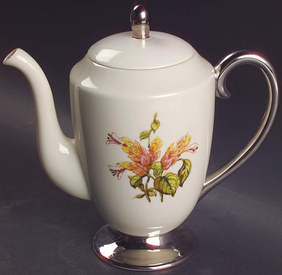 Cambria No Color Band (Platinum Trim) Coffee Pot & Lid by Flintridge-1