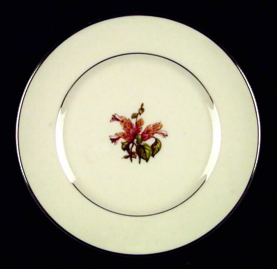 Cambria No Color Band (Platinum Trim) Dinner Plate by Flintridge-1