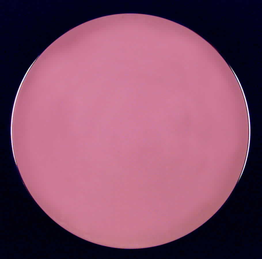 Classic Rose Dinner Plate by Flintridge-1