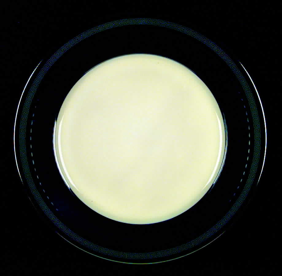 Plaza Key Black Dinner Plate by Flintridge-1