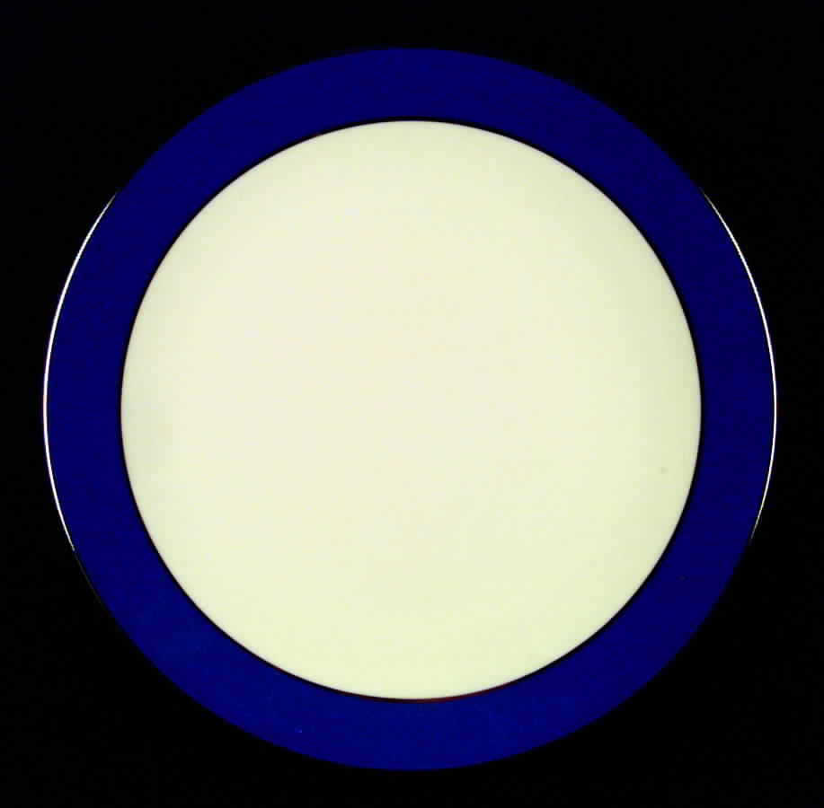 Platinum Mystic (Rim & Coupe) Coupe Dinner Plate by Flintridge-1