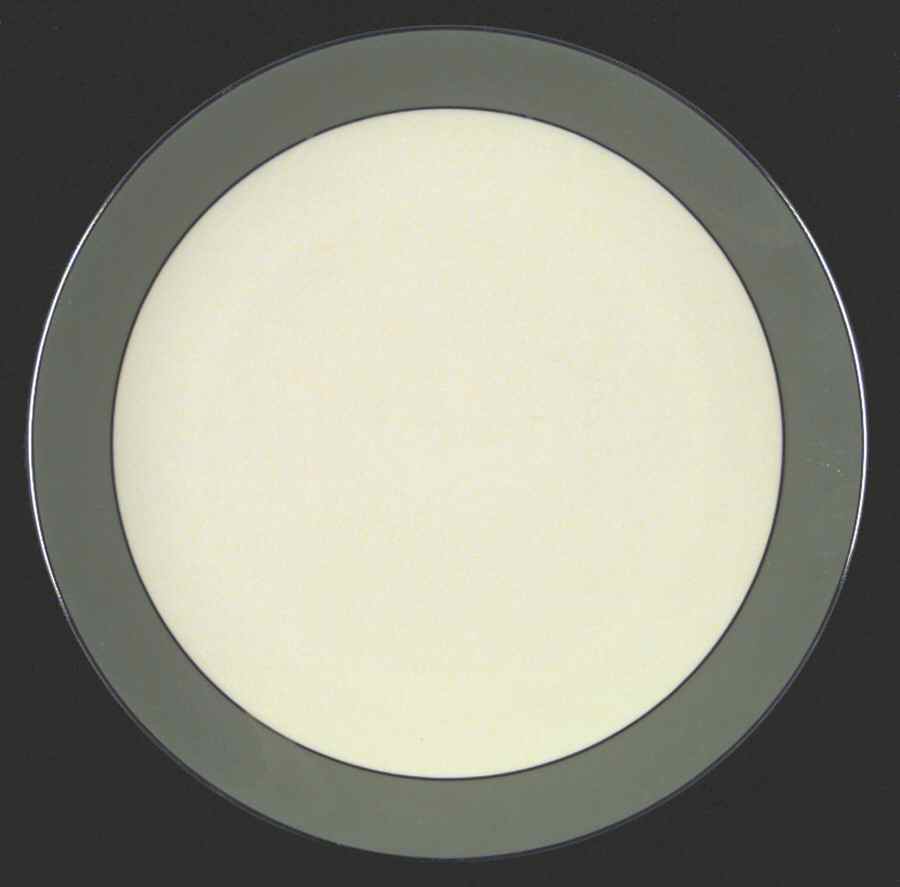 Platinum Sage (Rim & Coupe) Coupe Dinner Plate by Flintridge-1