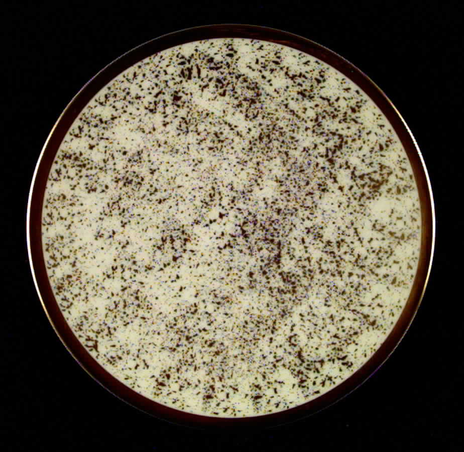 Premiere No Color Band Bread & Butter Plate by Flintridge-1