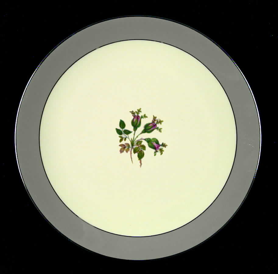 San Marino (Platinum Rim & Coupe) Coupe Dinner Plate by Flintridge-1