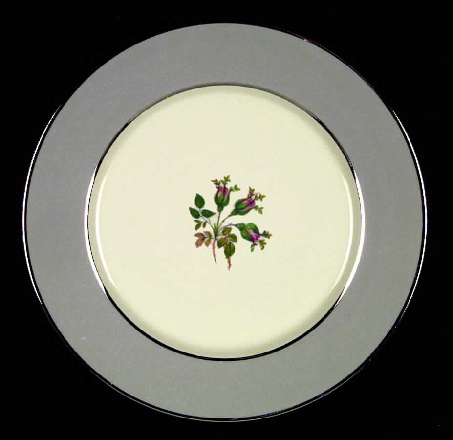 San Marino (Platinum Rim & Coupe) Dinner Plate by Flintridge-1