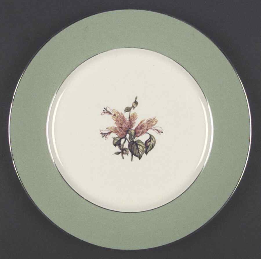 Sarita (Rim & Coupe) Dinner Plate by Flintridge-1
