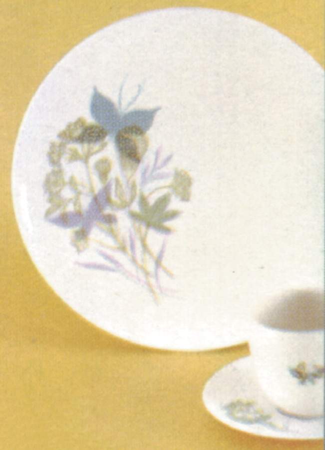 Simply Beautiful Dinner Plate by Flintridge-1