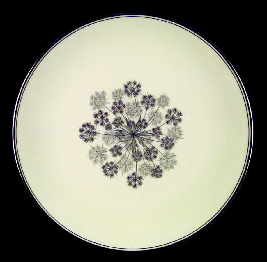 Silver Shadows (Rim & Coupe) Coupe Dinner Plate by Flintridge-1