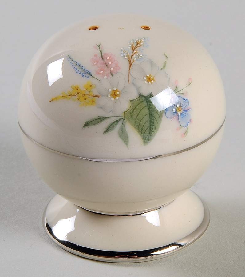 True Love No Color Band (Rim & Coupe) Salt Shaker by Flintridge-1
