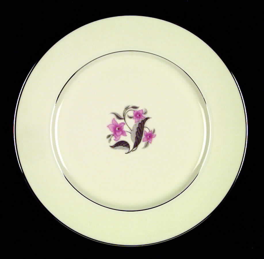 Vista No Color Band (Rim & Coupe) Dinner Plate by Flintridge-1