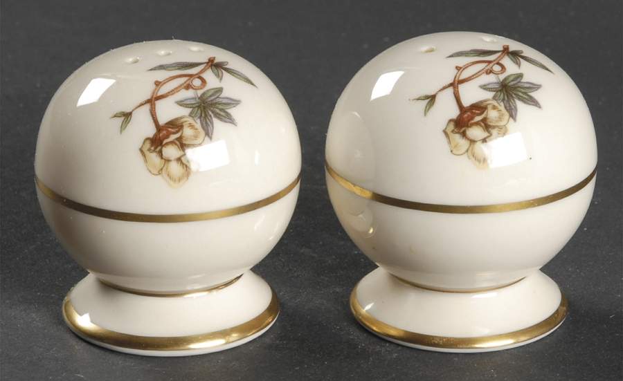 Woodrose No Color Band (Gold Trim, Rim) Salt & Pepper Set by Flintridge-1