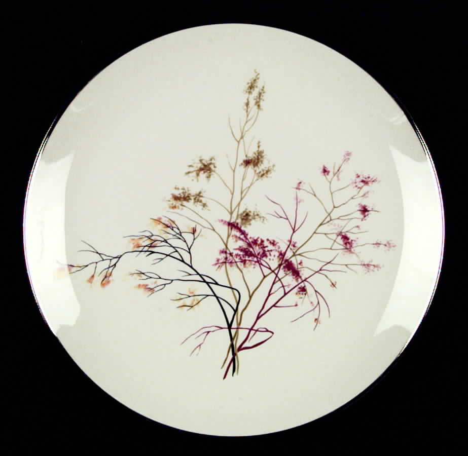 FLE1 Dinner Plate by Fleetwood-1