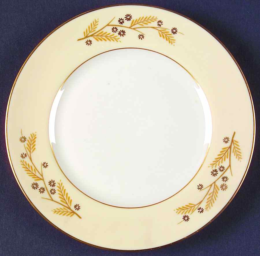 Acacia Bread & Butter Plate by Franciscan-1