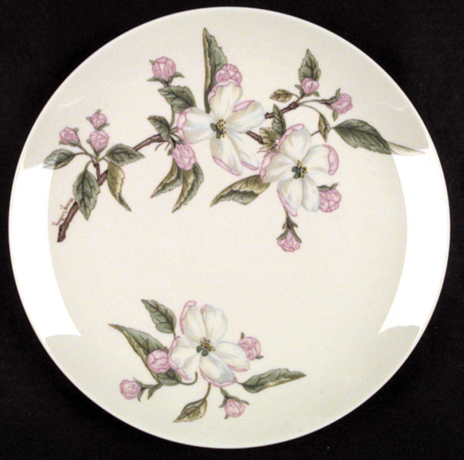 Appleton Dinner Plate by Franciscan-1