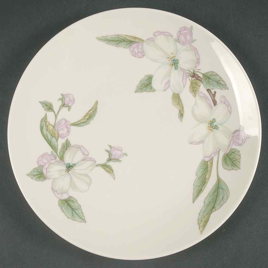 Appleton Salad Plate by Franciscan-1