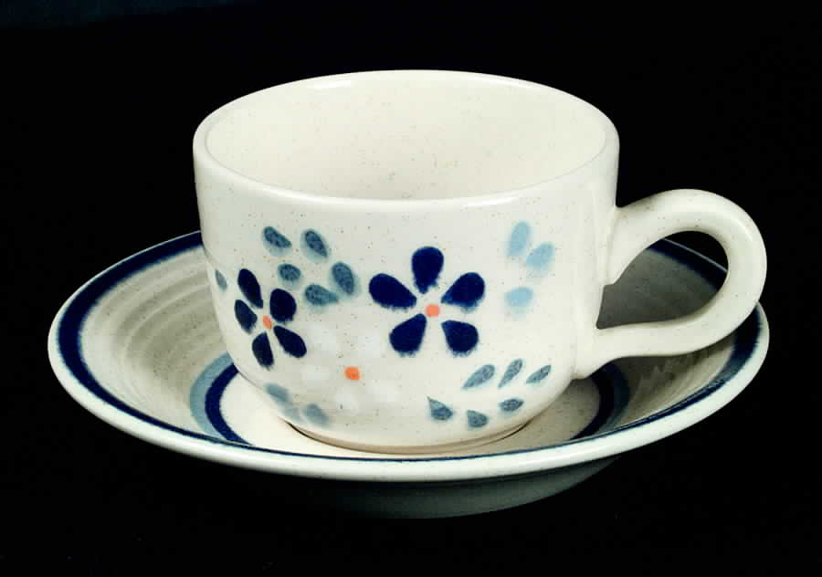Blueberry Flat Cup & Saucer Set by Franciscan-1