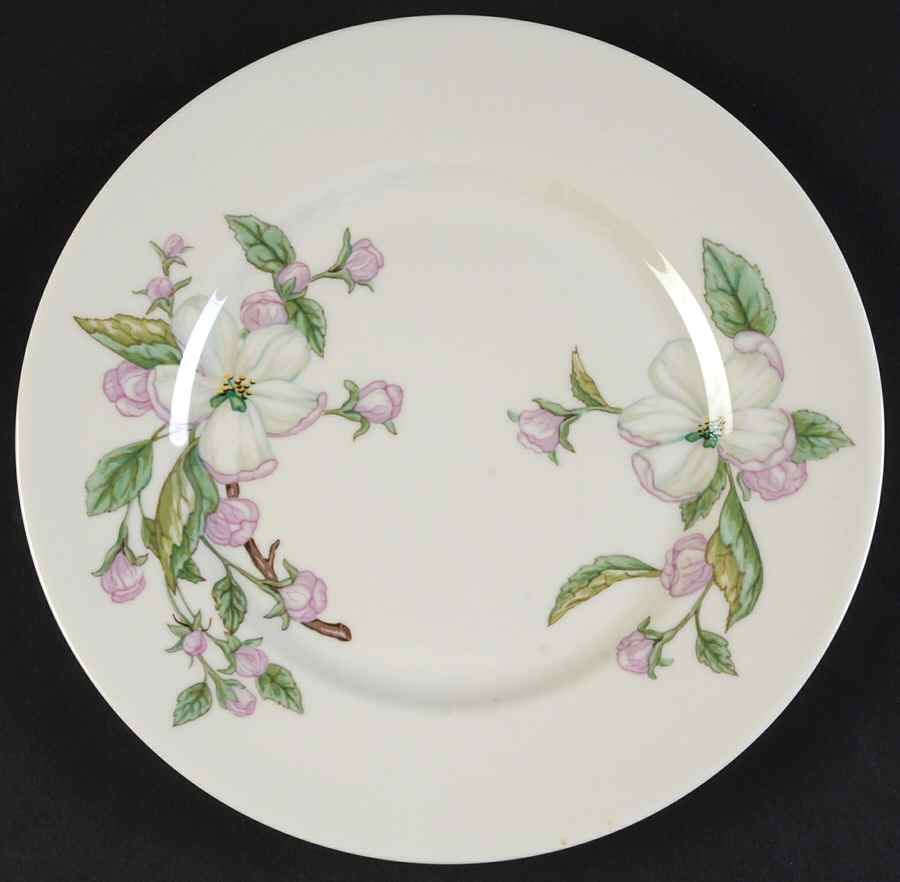 Chelan Salad Plate by Franciscan-1