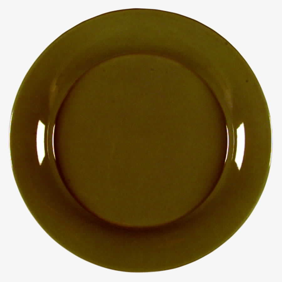 Cocoa Dinner Plate by Franciscan-1