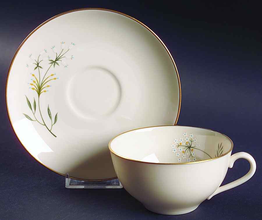 Debut 2" Flat Cup & Saucer Set by Franciscan-1