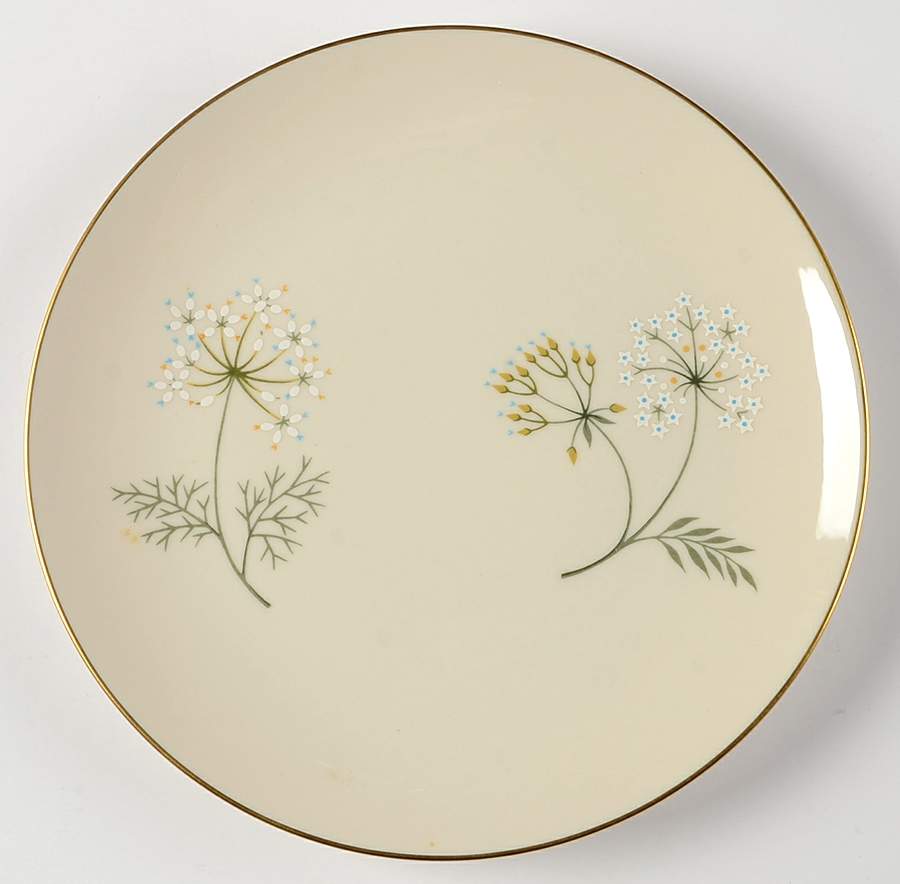Debut Salad Plate by Franciscan-1