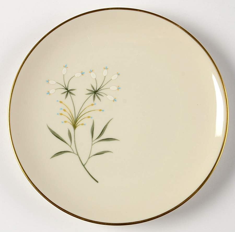 Debut Bread & Butter Plate by Franciscan-1