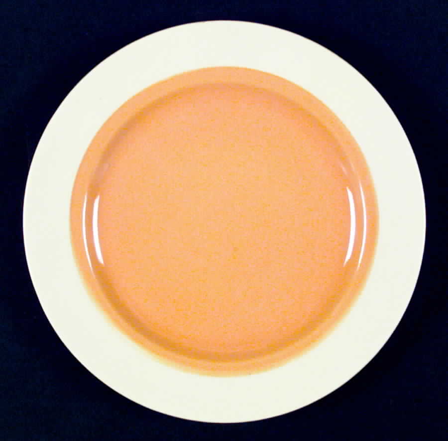 Del Oro Salad Plate by Franciscan-1