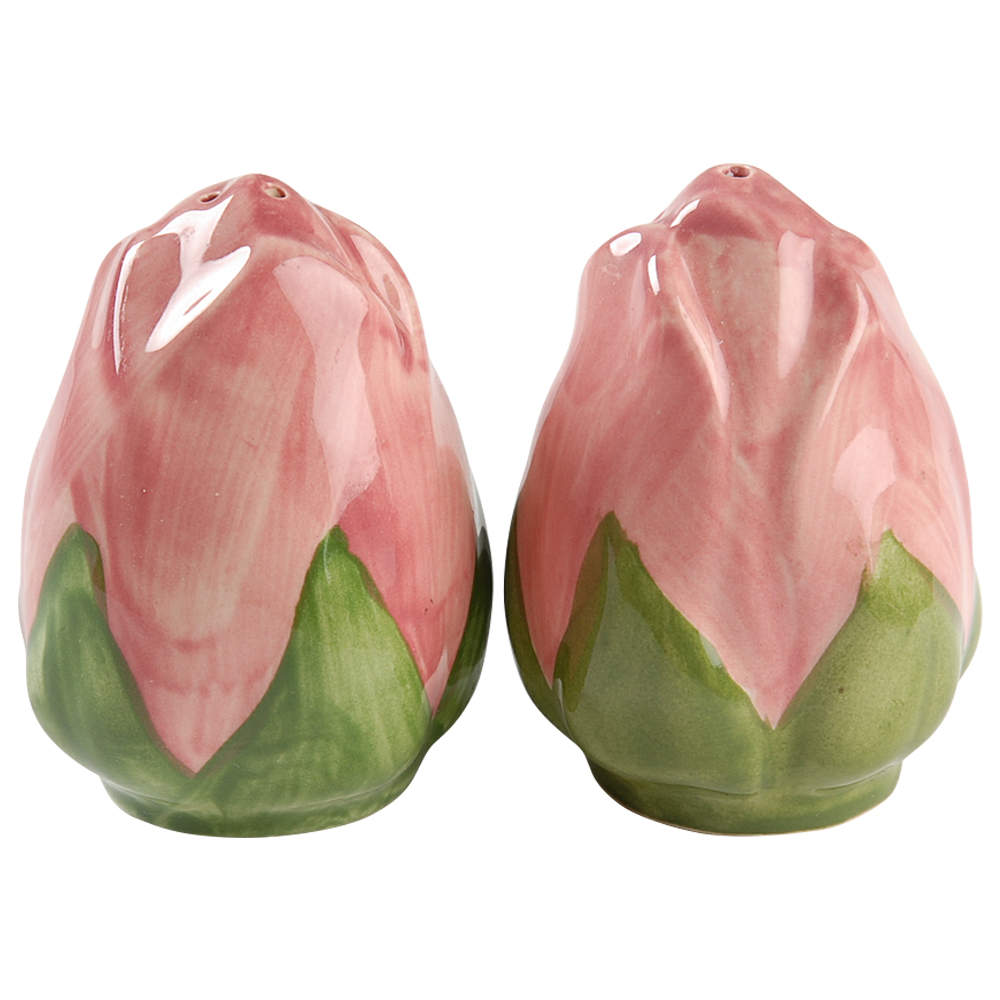 Desert Rose (England and Portugal Backstamp) Salt & Pepper Set by Franciscan-1